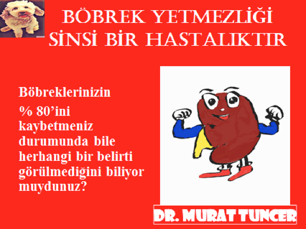 Bu görsel boş bir alt niteliğe sahip; dosya adı image-1.png