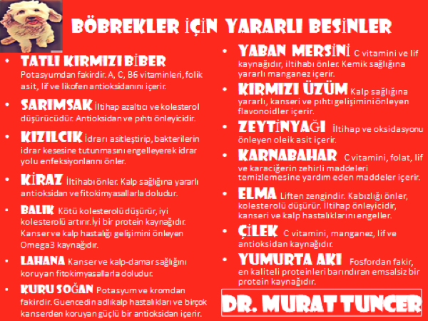 Bu görsel boş bir alt niteliğe sahip; dosya adı image-3.png