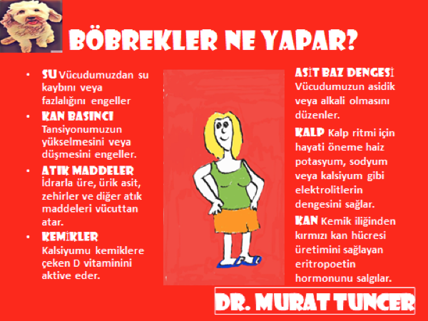 Bu görsel boş bir alt niteliğe sahip; dosya adı image.png